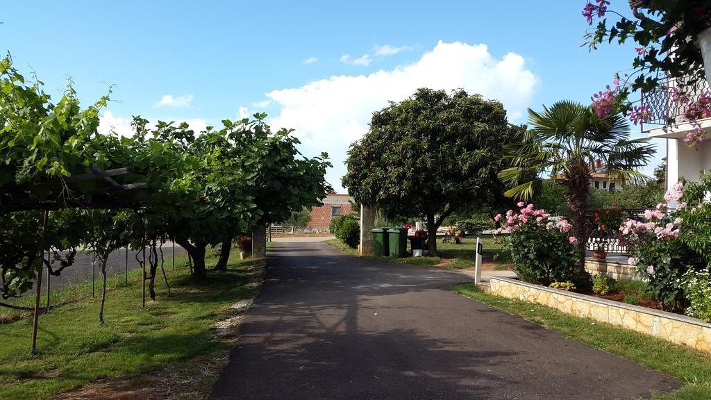 Apartment Samanta Novigrad Istria Dış mekan fotoğraf